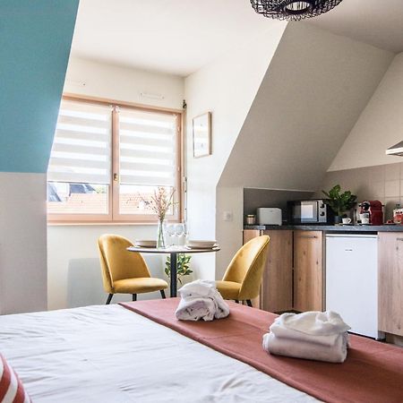 Lumineux - L'Oasis - Parking Prive Appartement Straatsburg Buitenkant foto