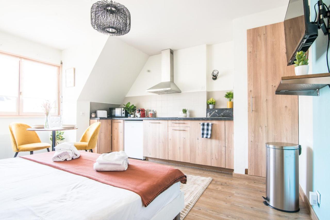 Lumineux - L'Oasis - Parking Prive Appartement Straatsburg Buitenkant foto